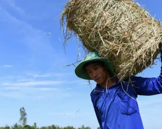 64585c9949de3-79pufh0ew67zesqzc8xzj343tbt80ea0ln5rcbxgpq8-680x540 Home