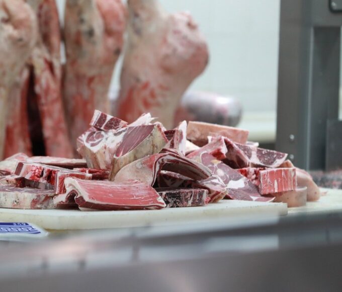 13062025-1749794757-1379126019-17042024-1713353162-33429561-12032024-1710209818-427088890-Nuutsiin_makh6-111640-1647865871-680x580 Home